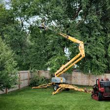 Best Tree Preservation Services  in Cotter, AR